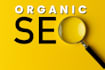 be your virtual assistant and web administrator