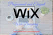 create professional shopify and wix website