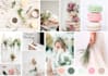 do a creative and attractive mood board for you