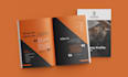 design your company profile, brochure, proposals and reports