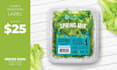 create eyecatching food and beverages label