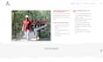 be your salient theme expert