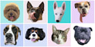 create digital portrait of your pet