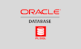 develop oracle forms, reports, plsql code and database