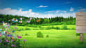 create natural scenic refreshing intro