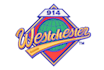 embroidery digitizing, 3d puff, applique, dst, pes, in 1hr