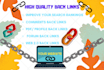 provide monthly SEO service high quality backlinks manually
