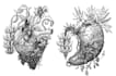 create stunning hand drawn artwork