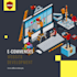 developing custom website and web maintenance