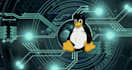 deploy or fix your linux,cpanel,whm,mysql,dns,php, wordpress,apache,vps,cent os