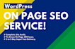fix any SEO issue with your  website