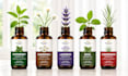 oil bottle label design hair oil label body massage oil packaging design