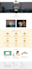 design and develop a responsive business wordpress website