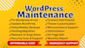 provide monthly wordpress website maintenance and support