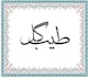 design urdu calligraphy  name logo professionally