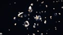 diaomond glitter logo video intro animation