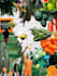create the digital collage you love