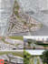 do urban design landscape masterplan and 3d rendering