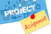 do assignments and projects of c and c plus plus