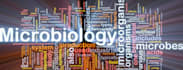 do scientific research and write research project