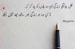 write poetry for you using your keywords in urdu