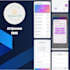 design, develop and help launch your mobile app in android, IOS and flutter
