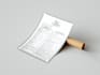 do menu, price list, brochure and flyer design in 24 hrs