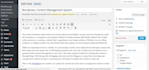 write high quality blog post and upload on website