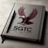 do web designing, image editing, logo designing and contant writing
