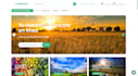 develop stunning wix website design