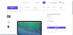 create a professional custom webshop with admin panel and payment system