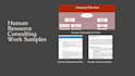 provide business operations consulting services