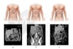create colored medical and scientific illustrations