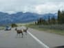 do travel research and create a travel itinerary for you