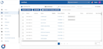 do website, crm, erp, accounting entries for you