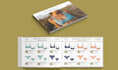 design product catalog, brochure, or lookbook