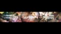 logo avi and banner edit