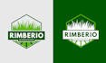 create custom business logo design