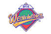 embroidery digitizing, convert to pes, dst in 1hr