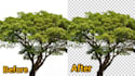 doing removal background and simple object