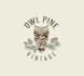 design awesome owl pine logo