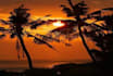 assist you in anything about bali indonesia