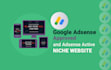 provide adsense approved complete niche website