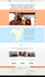 build a professional wordpress website