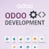 do odoo pro solutions v10 to v18 support customization