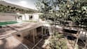 create a realistic exterior or interior rendering