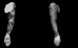 design a custom realistic tattoo in black and grey or colour