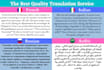 provide professional translation service