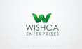 create a professional custom logo for you