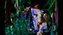 forge epic stopmotion music video